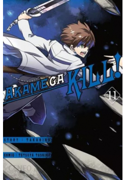 Akame ga Kill Tom 11
