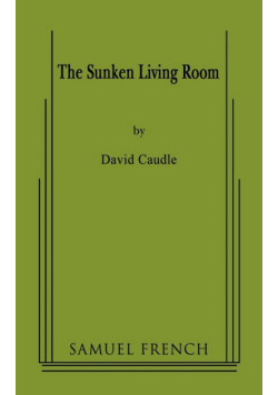 The Sunken Living Room