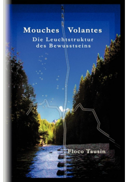 Mouches Volantes - Die Leuchtstruktur Des Bewusstseins
