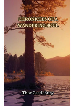 Chronicles of a Wandering Soul