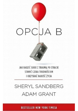 Opcja B