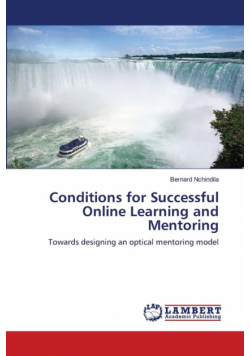 Conditions for Successful Online Learning and Mentoring