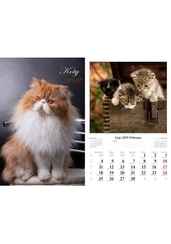 Kalendarz 2019 Koty 13 planszowy RADWAN