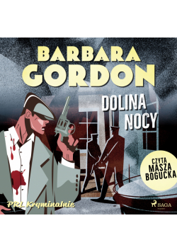 Dolina nocy