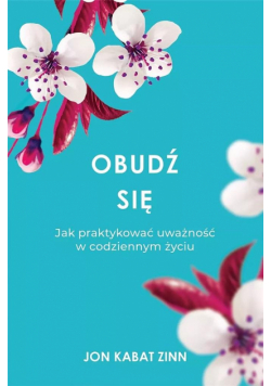 Obudź się DL