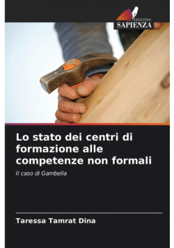 Lo stato dei centri di formazione alle competenze non formali