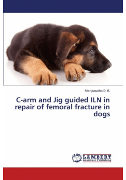 C-Arm and Jig Guided Iln in Repair of Femoral Fracture in Dogs