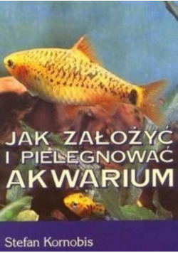 Jak założyć i pielęgnować akwarium