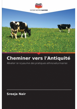 Cheminer vers l'Antiquité