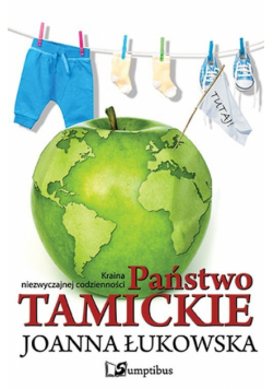 Państwo Tamickie