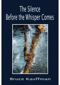 The Silence Before the Whisper Comes