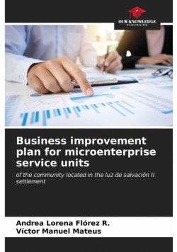 Business improvement plan for microenterprise service units