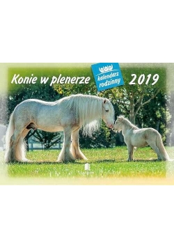 Kalendarz 2019 Rodzinny Konie w plenerze WL10