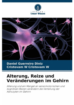 Alterung, Reize und Veränderungen im Gehirn