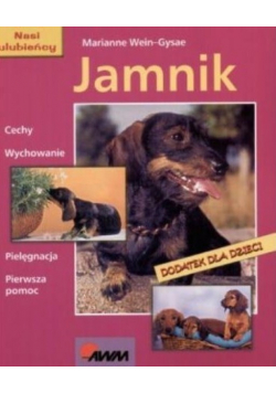 Jamnik Cechy wychowanie pielęgnacja pierwsza pomoc