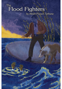 The Flood Fighters