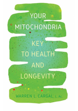 Your Mitochondria