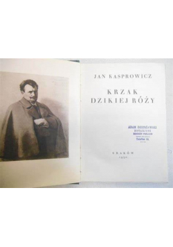 Krzak dzikiej róży, 1930 r.