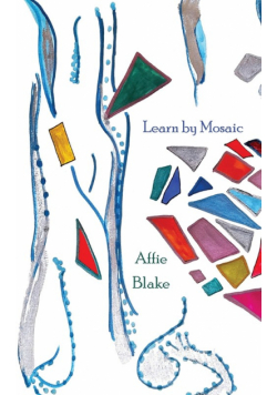 Learn by Mosaic