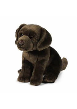 Labrador brązowy 26 cm