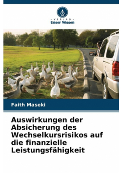 Auswirkungen der Absicherung des Wechselkursrisikos auf die finanzielle Leistungsfähigkeit