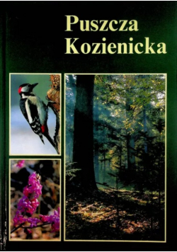 Puszcza Kozienicka