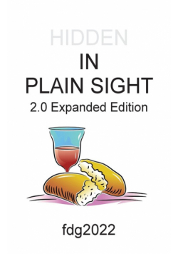 HIDDEN IN PLAIN SIGHT 2.0 - Expanded Edition
