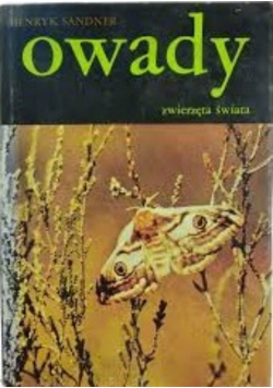 Owady