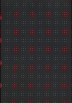 Zeszyt A4 Paper-oh Cahier Circulo w kratkę 40 kartek Black on Red Dwupak