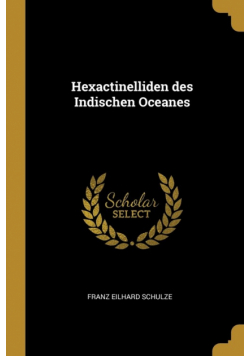 Hexactinelliden des Indischen Oceanes