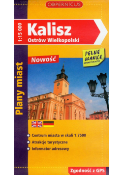 Kalisz, Ostrów Wielkopolski plany miast