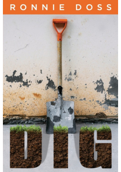 Dig