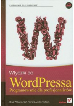 Wtyczki do word pressa