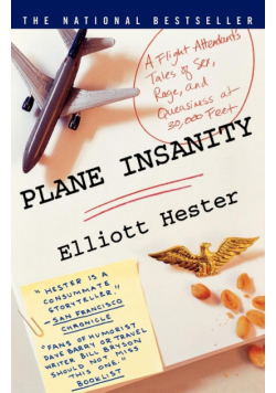 Plane Insanity