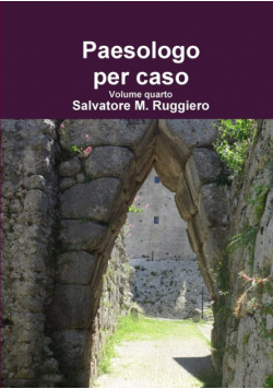 Paesologo per caso Volume quarto