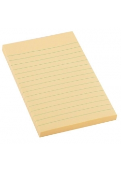 Notes samoprzylepny 98x150mm w linie D.RECT