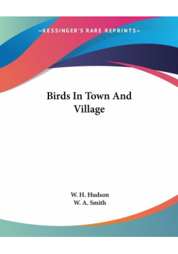Birds In Town And Village