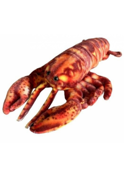 Homar 28cm