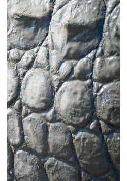 Alive! crocodile skin - Natural and muddy - photo art notebooks (5 x 8 series)