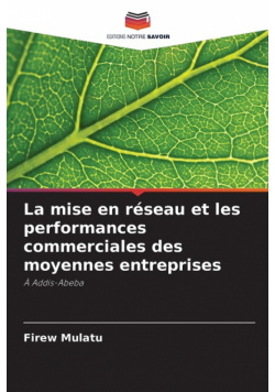La mise en réseau et les performances commerciales des moyennes entreprises