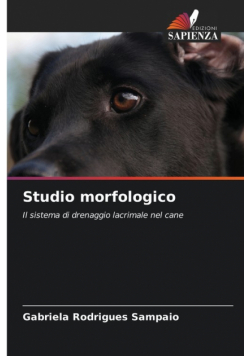 Studio morfologico