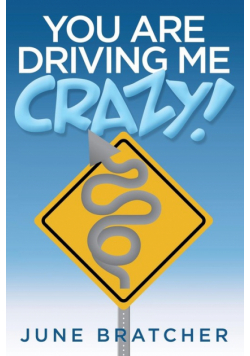 You Are Driving Me Crazy!