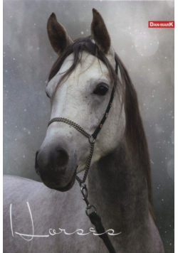 Brulion A4 w kratkę 96 kartek Horses