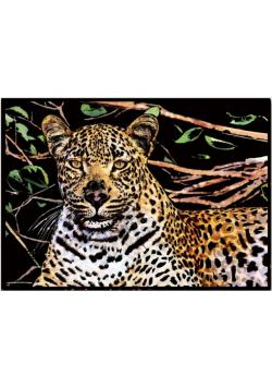 Magiczna zdrapka Leopard