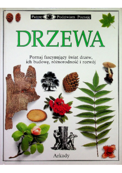 Patrzę Podziwiam Poznaję Drzewa