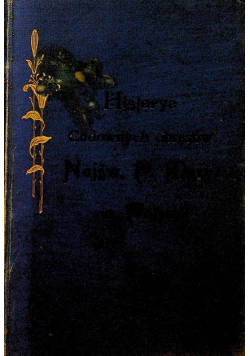 Historye cudownych obrazów Najświętszej Maryi Panny w Polsce Tom 2 1904 r.