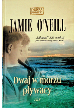 Dwaj w morzu pływacy
