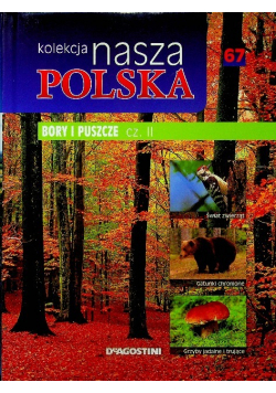 Kolekcja nasza Polska Tom 67 Bory i puszcze Część II