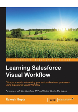 Learning Salesforce Visual Workflow