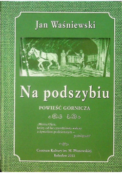 Na podszybiu